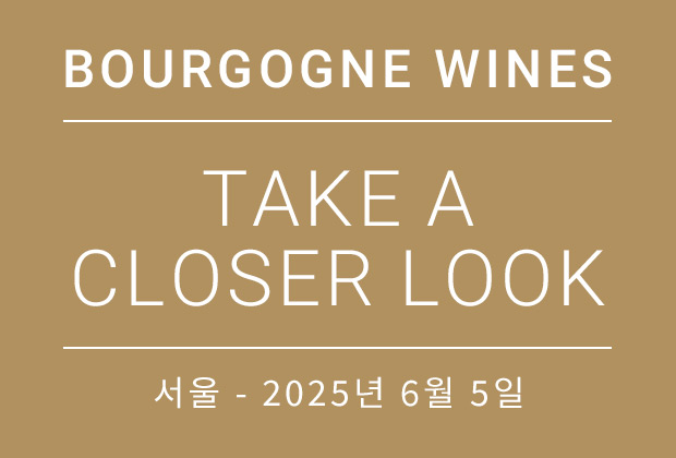 Bourgogne Wines - Take a closer look
