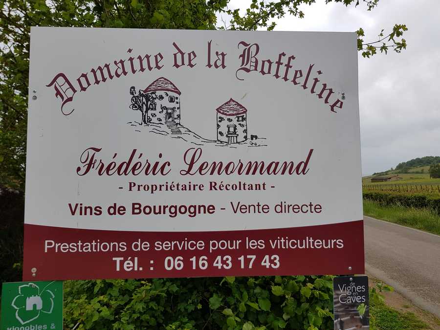 Domaine de La Boffeline Vigne du Domaine de La Boffeline