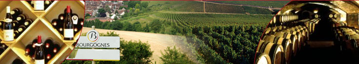 Descriptif des 100 appellations des vins de Bourgogne. Descriptif des 100 appellations des vins de Bourgogne.