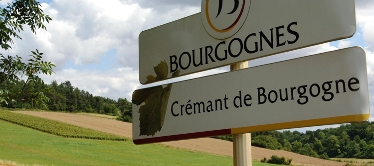 Oenotourisme, Vignoble du Châtillonnais et du crémant© BIVB / MONNIER H 