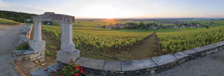 Vue du vignoble de Clos des Lambrays en Bourgogne