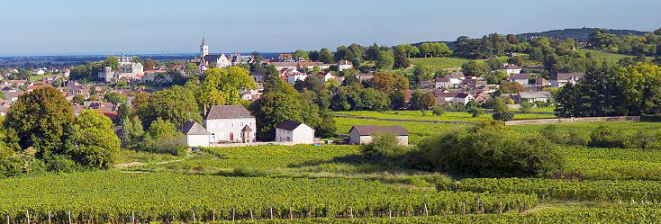 Vue du vignoble de Rully en Bourgogne