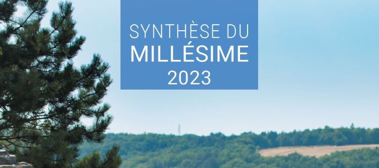 Synthèse du millésime 2023