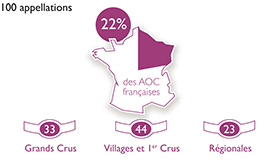 Il y a des vins de Bourgogne pour tous les goûts et toutes les occasions ! © BIVB / IMAGE & ASSOCIES Il y a des vins de Bourgogne pour tous les goûts et toutes les occasions ! © BIVB / IMAGE & ASSOCIES
