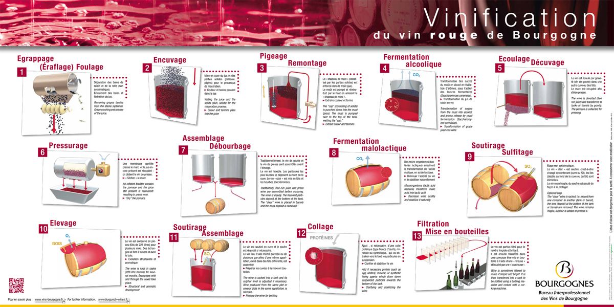 vinification