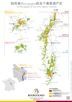 CARTE BOURGOGNE 21 X 29,7 CM