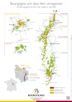 CARTE BOURGOGNE 21 X 29,7 CM