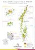 CARTE BOURGOGNE 21 X 29,7 CM