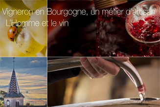 Vidéo sur l'homme et le vin un métier d'artisan