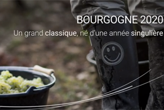 Vidéo sur la Bourgogne en 2020
