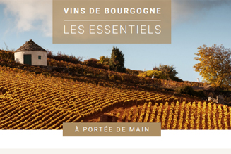 Vins de Bourgogne - vigne en automne