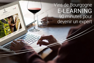 E-learning à la découverte des vins de Bourgogne