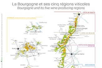 Carte de la Bourgogne viticole et ses cinq régions