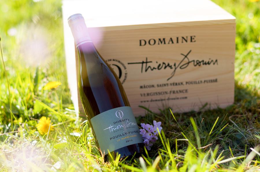 Domaine Thierry Drouin Domaine Thierry Drouin Domaine Thierry Drouin