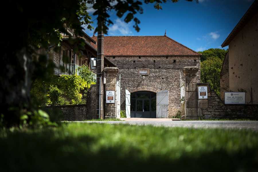 Domaine Guillot-Broux