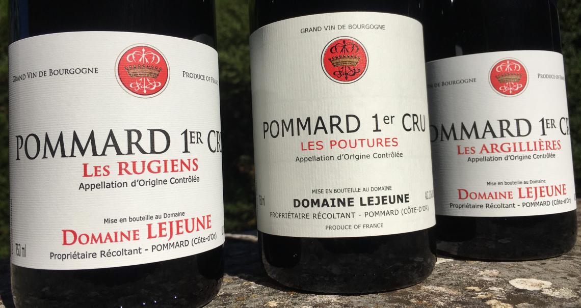 Domaine Lejeune, Négociant Viticulteur à POMMARD - Vins de Bourgogne