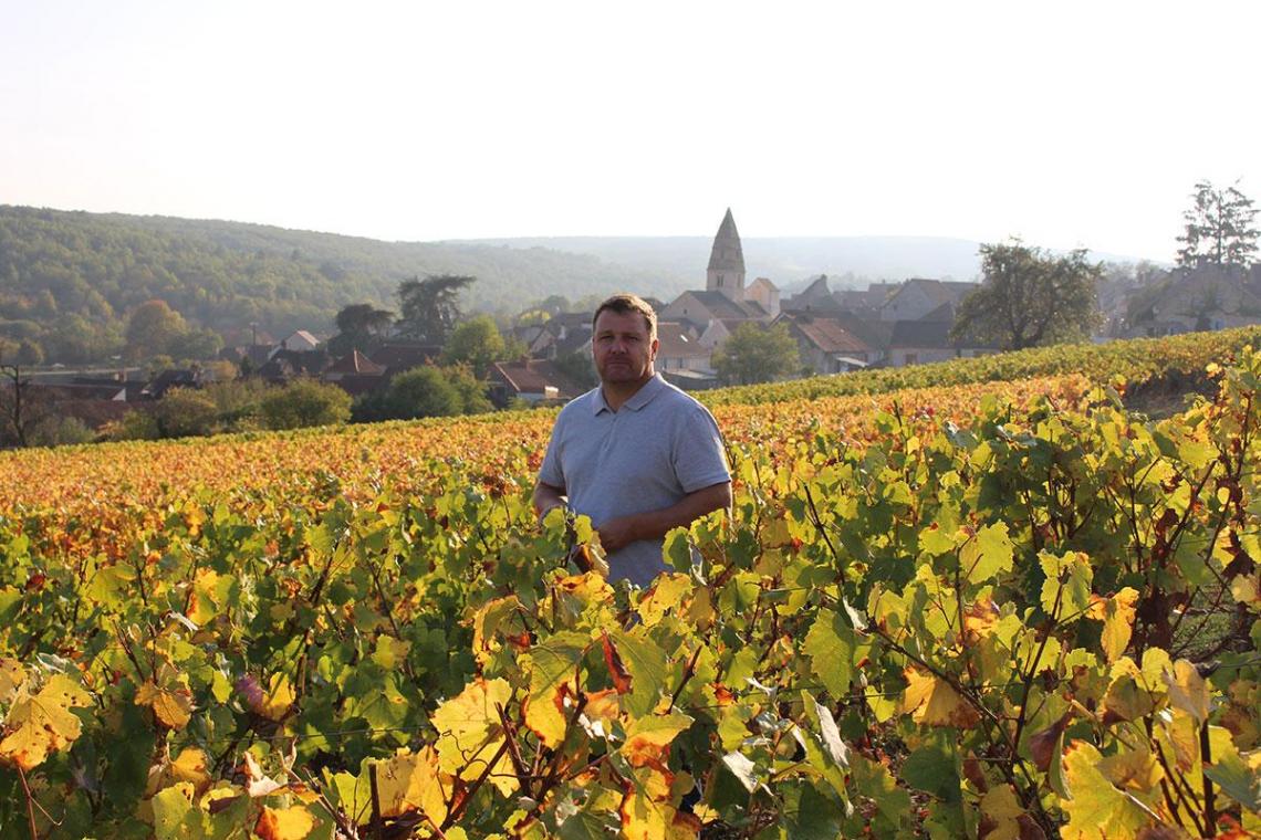 Jérôme Fornerot dans ses vignes Logo du Domaine Jérôme Fornerot