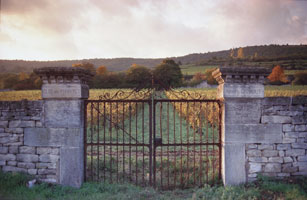 Clos des Perrieres Meursault