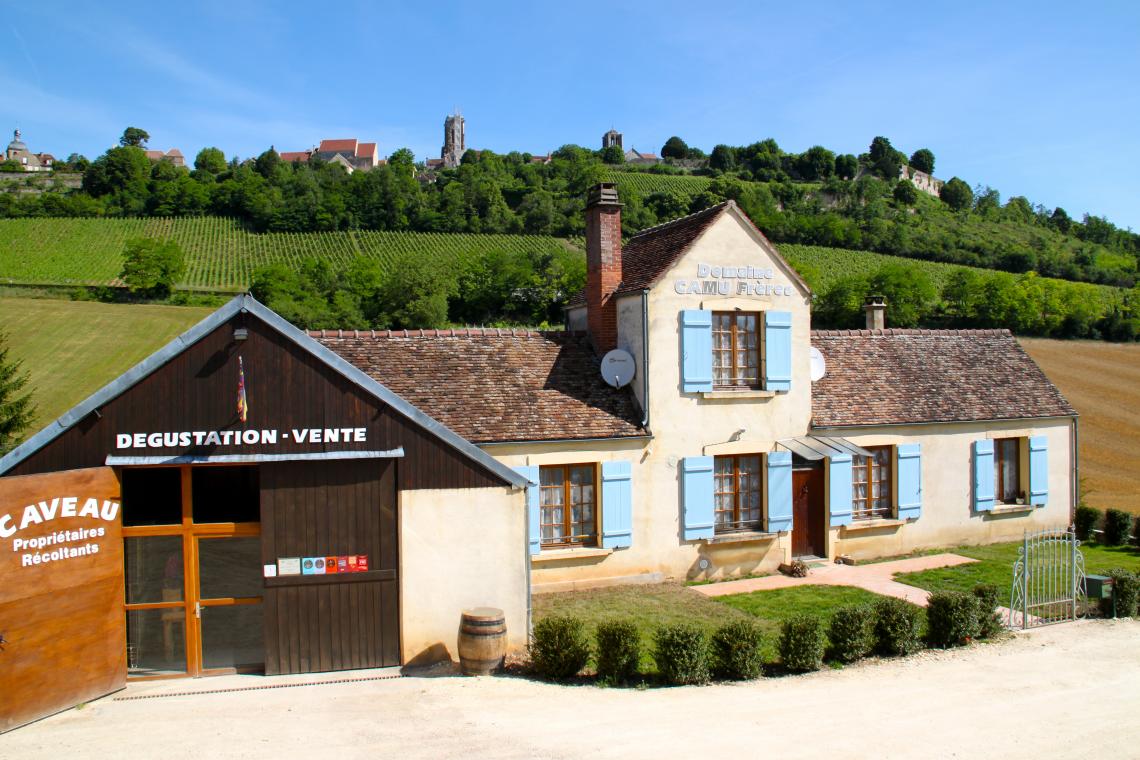 Domaine Camu à Vézelay