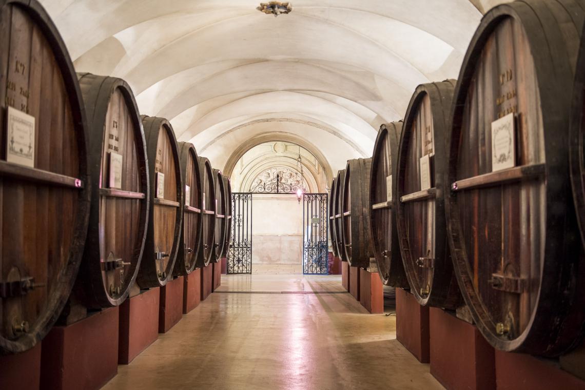 LA GALERIE DES FOUDRES LA VISITE DES CAVES LA DEGUSTATION