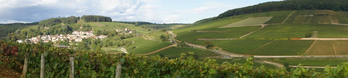 Panorama sur Pernand Vergelesses BERTHOD