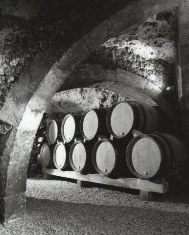 Cave XIème Domaine Goisot Jean-Hugues et Guilhem