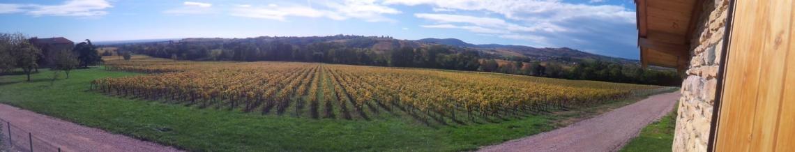 photo la vernette10 logo domaine des pérelles  Jean-Yves Larochette dans les vignes