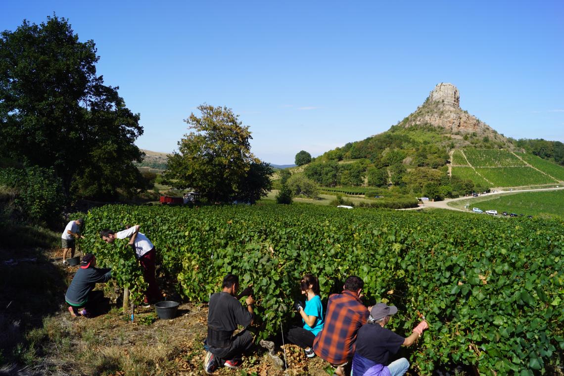 Domaine Grappin Pascal