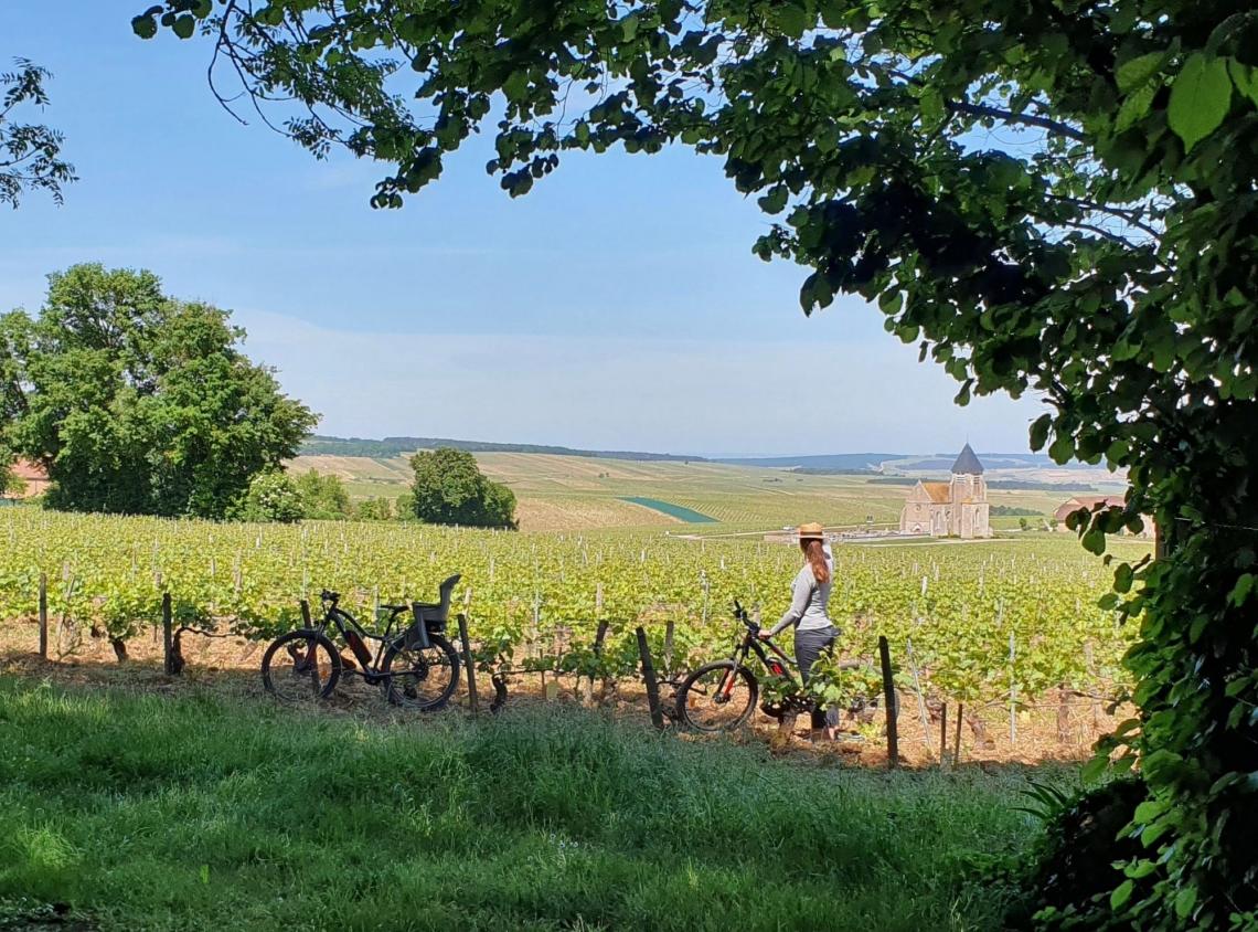 Vélo vignes panorama retaille Dégustation retaille accueil domaine retaille n verticale retaille