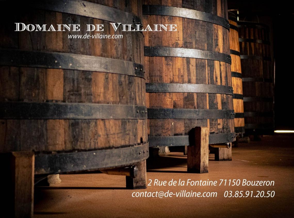 Domaine De Villaine