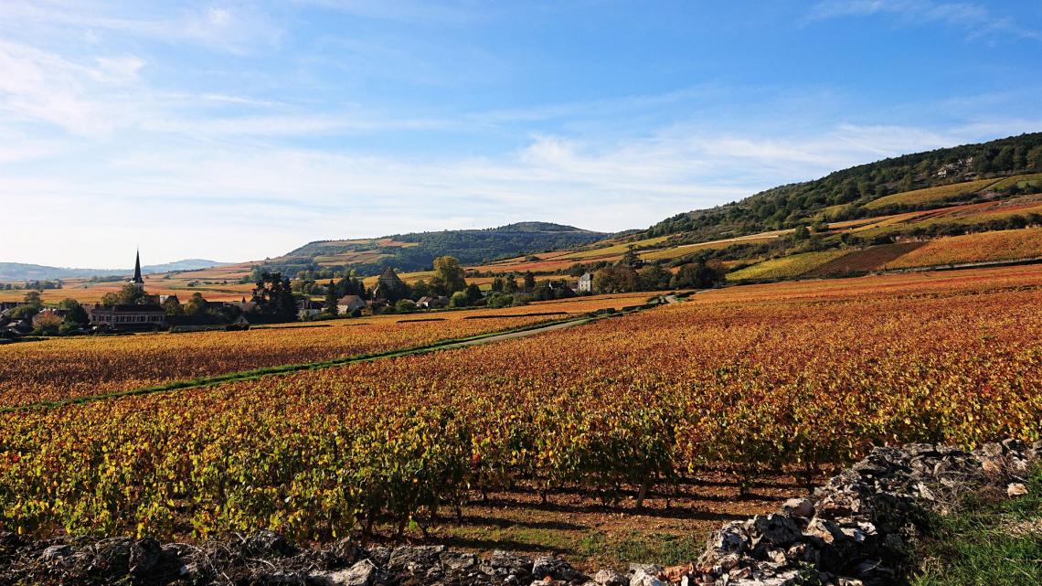 Domaine-Justin-Girardin