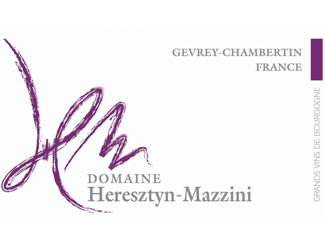 Logo mazzini
