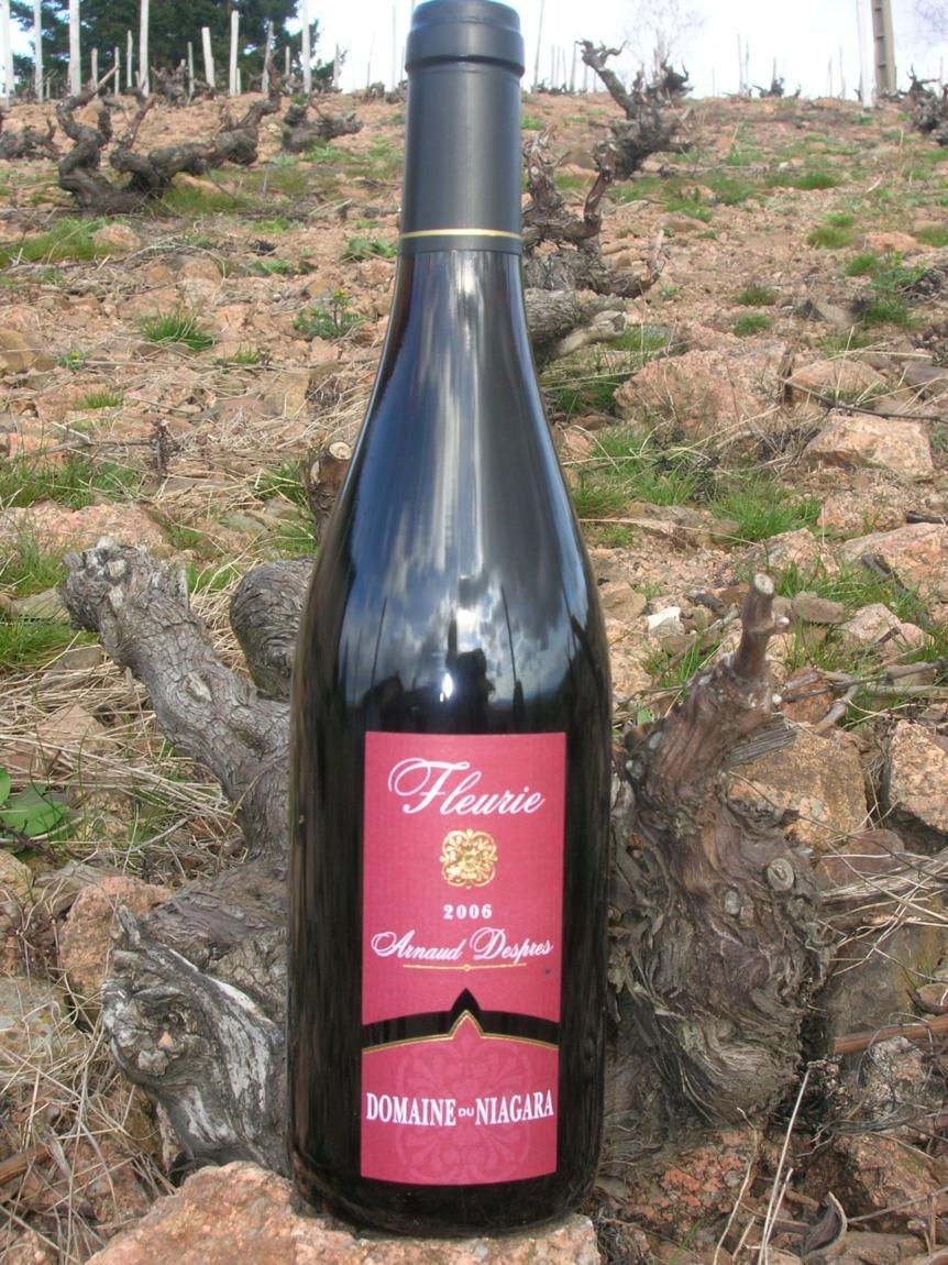 Domaine du Niagara à FLEURIE