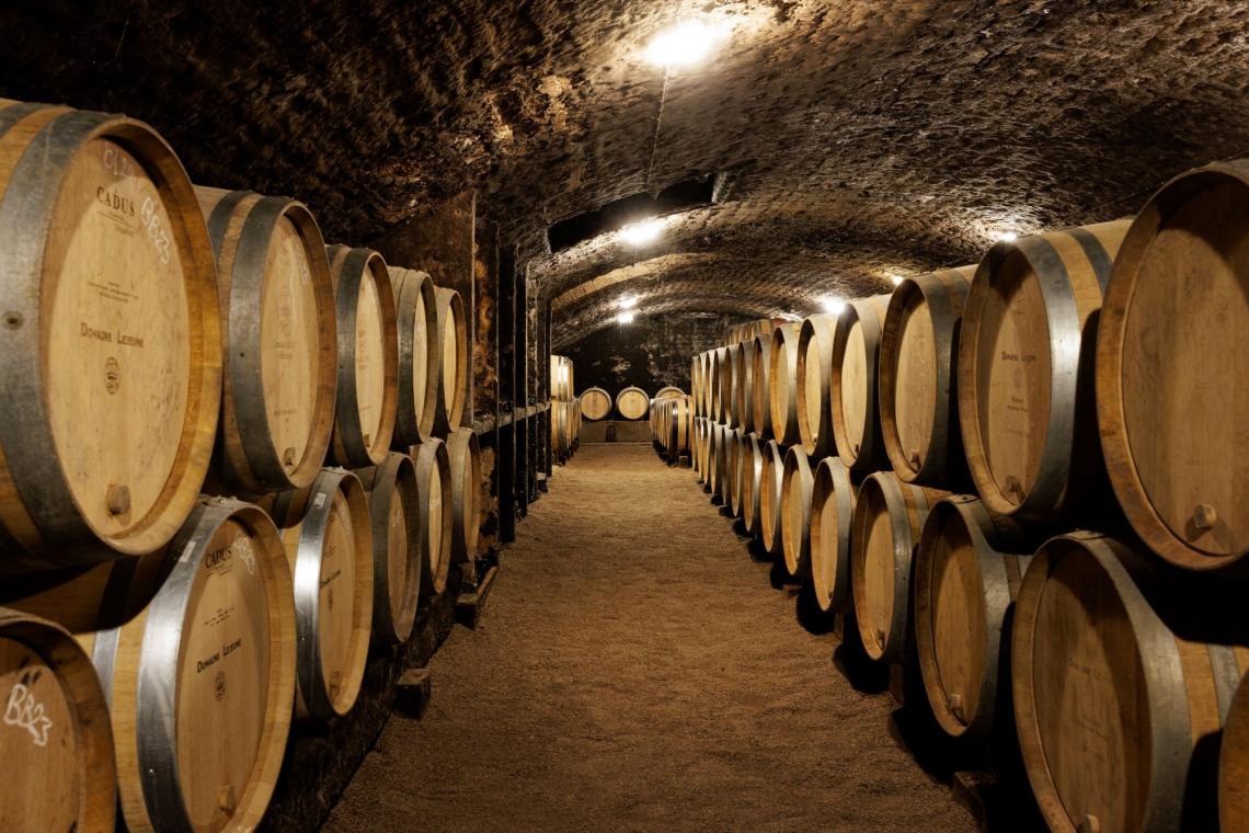 Domaine Lejeune-Automne 2023-030-Antoine Martel-Photographe Domaine Lejeune-Automne 2023-071-Antoine Martel-Photographe