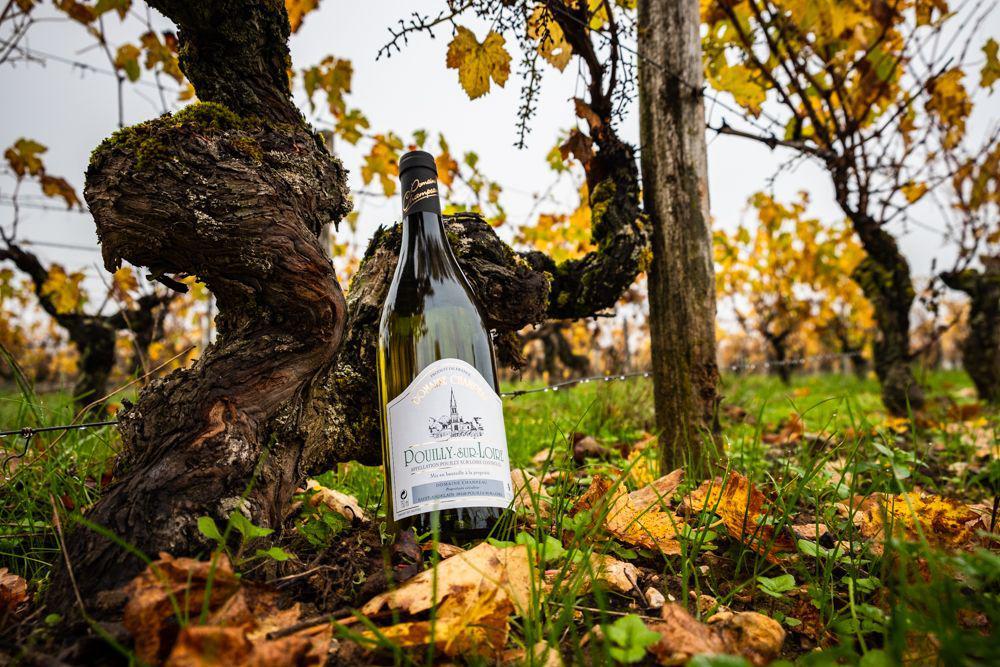 Domaine Champeau
