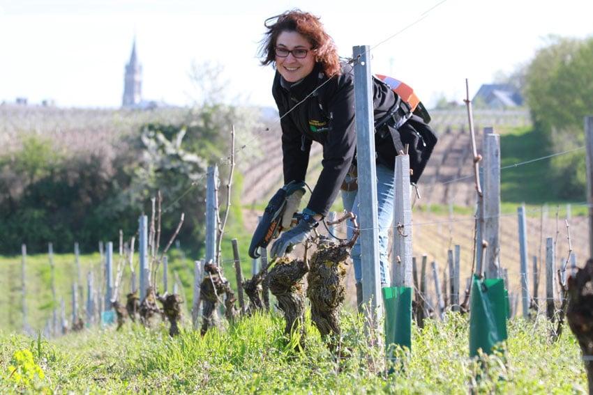 Domaine Marielle Michot
