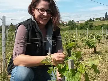 Domaine Marielle Michot