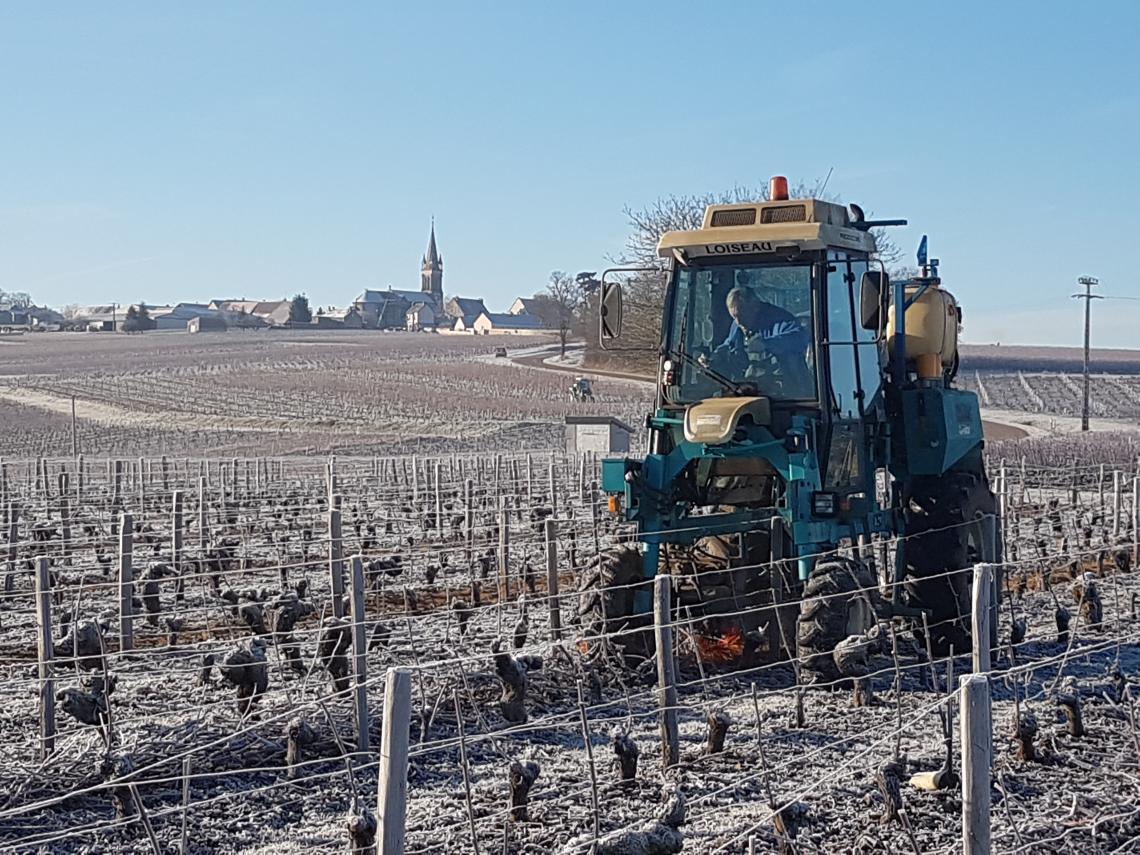 Domaine de Riaux