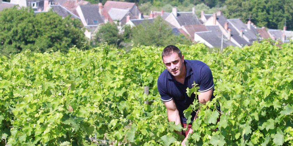 Domaine Jean-Pierre Bailly