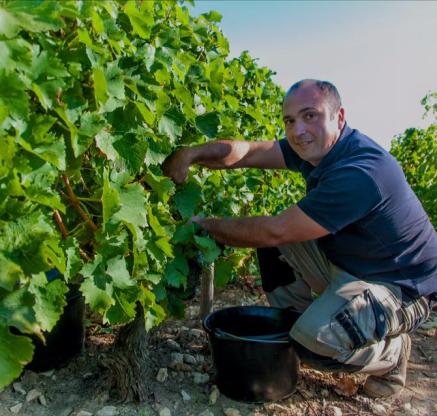 Domaine Nicolas Gaudry