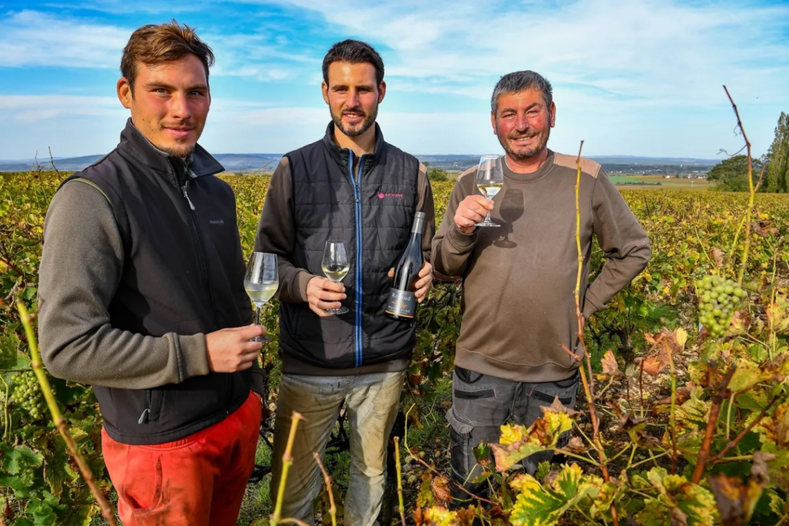 Domaine Renaud et Fils