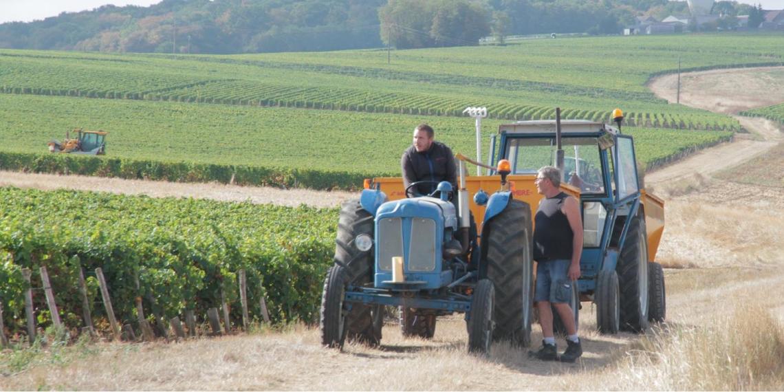 Domaine Marcel Langoux