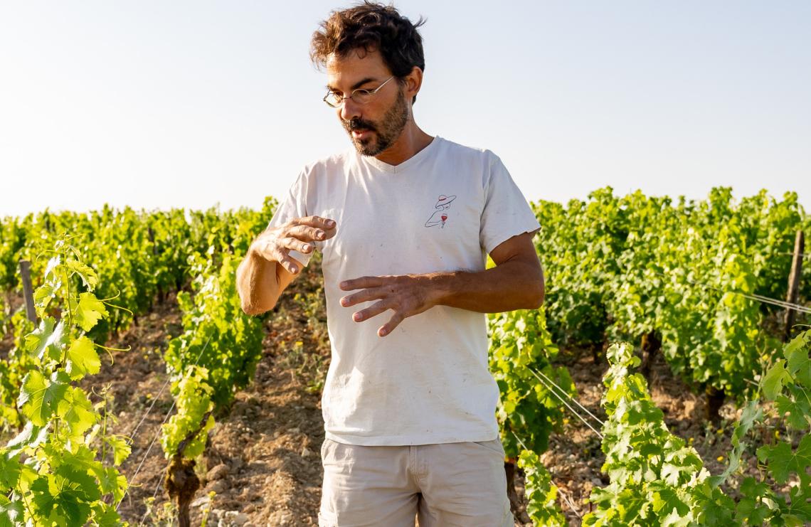 Domaine de la Chasseigne - Guillaume Myette (1)