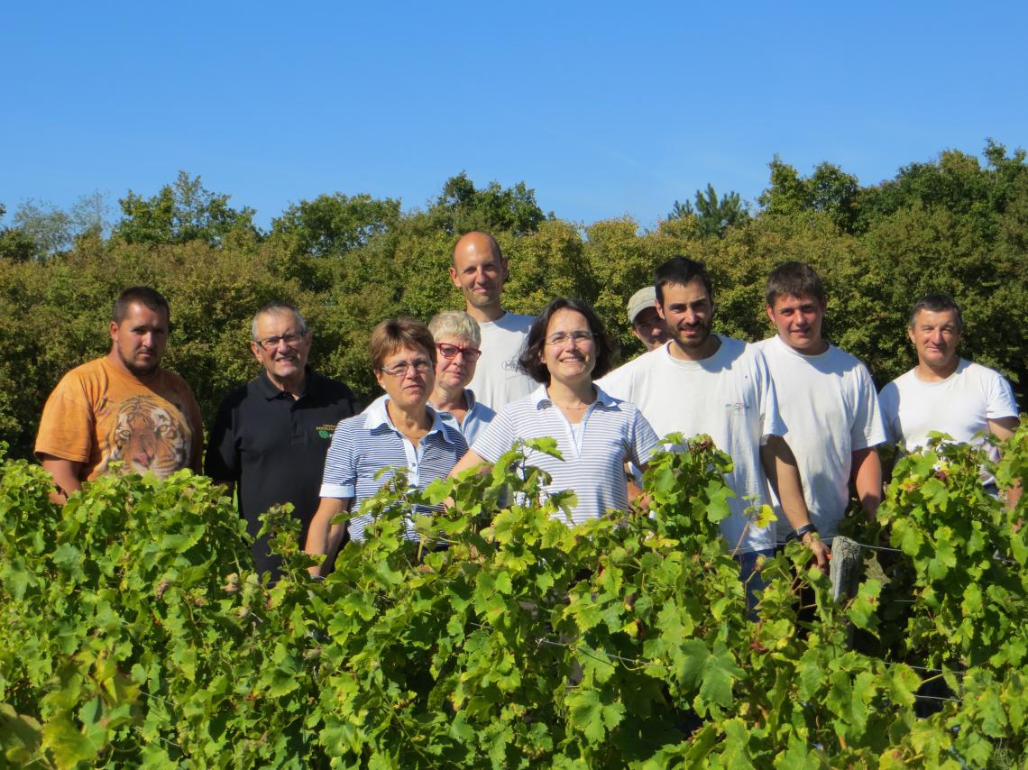 Domaine MASSON-BLONDELET