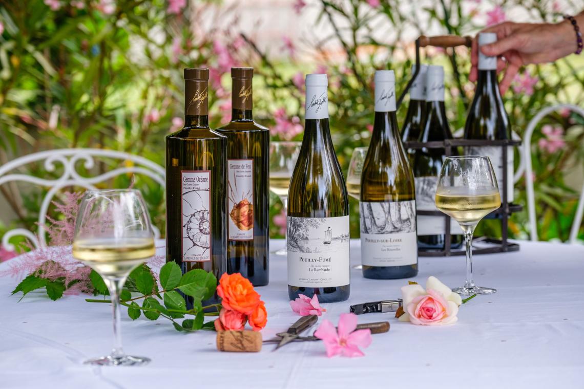 Domaine Landrat-Guyollot