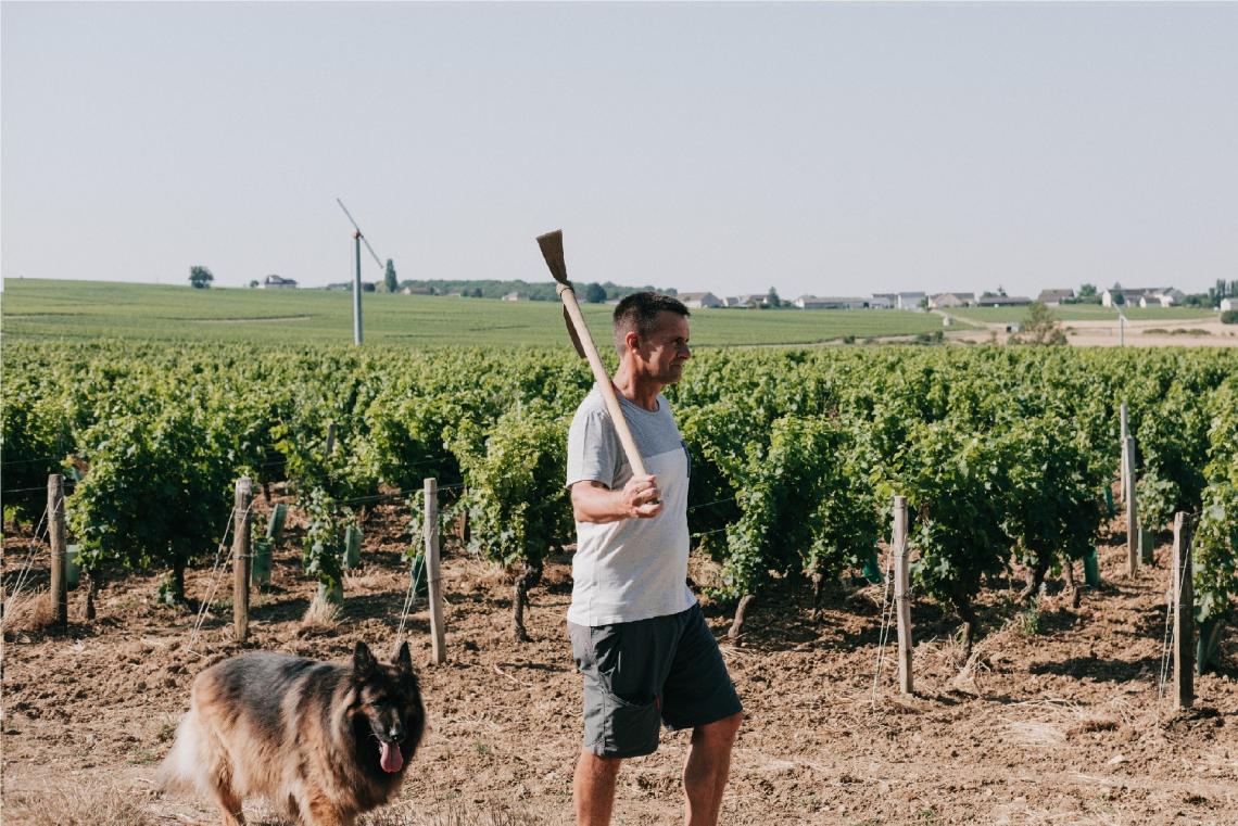 Domaine Chauveau