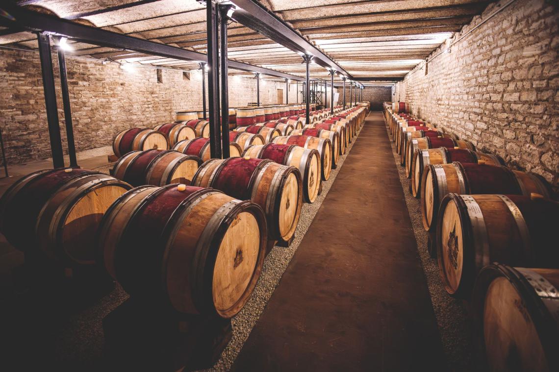 albert-morot-caveCphoto-terroir (3)