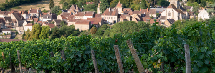 Bourgogne Côtes du Couchois