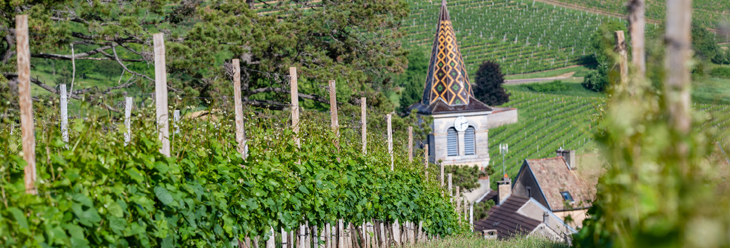 Bourgogne Hautes Côtes de Nuits Bourgogne Hautes Côtes de Nuits