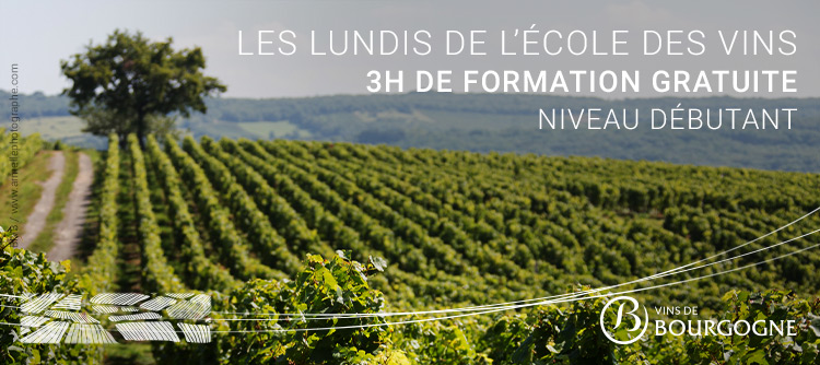 Une formation gratuite ouverte aux serveurs, chefs de rangs, saisonniers ...